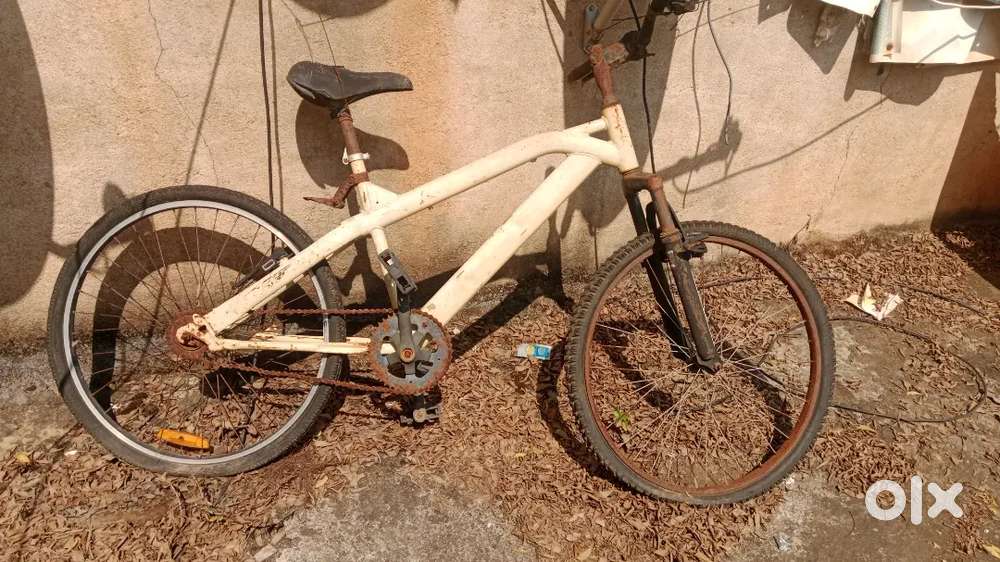 Hecules bicycle only for 500