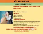 Collection executive
