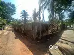 12 cent land for sale
