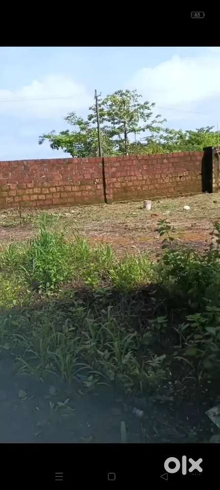 Plot for urgent sale