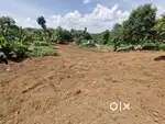 സ്ഥലം വിൽപ്പനയ്ക്ക്  - തോട്ടയ്ക്കാട് thottakkadu