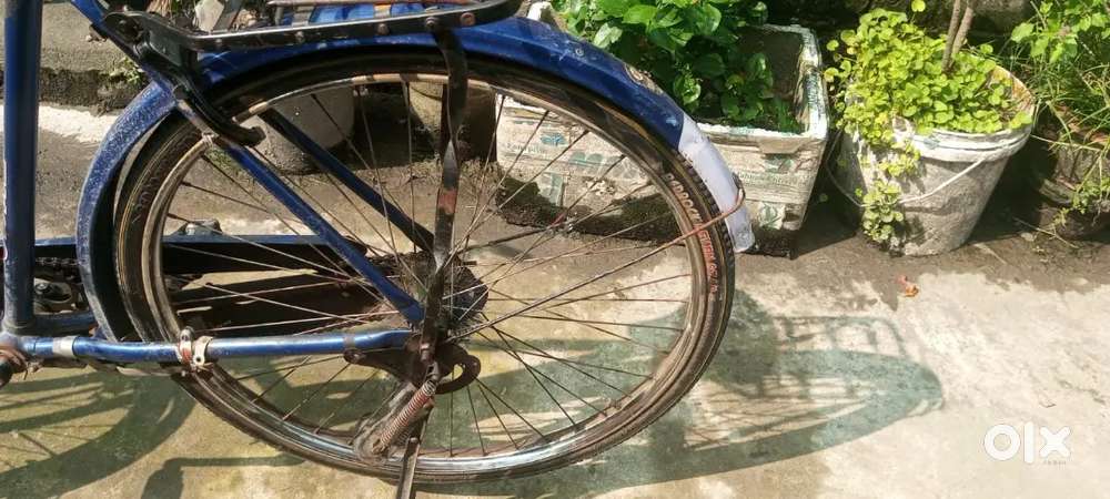 this is a bangla cyckel