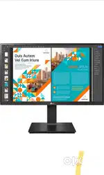 LG 2k 24 inch QHD sRGB 99%