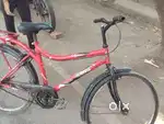 Only 1 years old