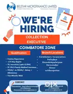 Collection executive