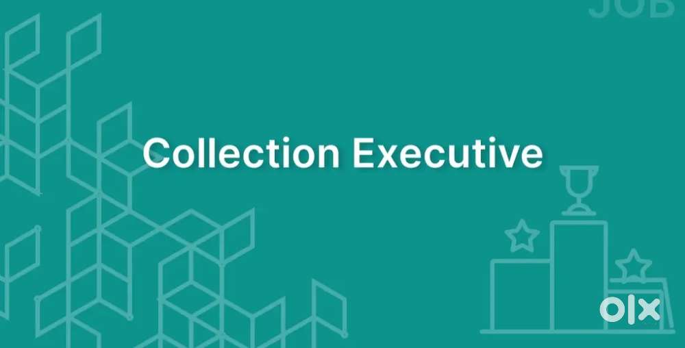 Collection executive -Two Wheeler loan