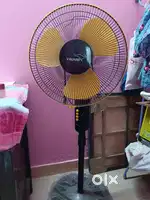 Pedestrial fan