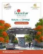 Residential plot sel in gulmohar green sejbahar Raipur