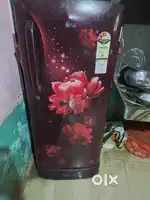 LG fridge for home