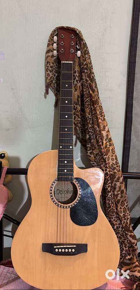 Dolphin acoustic guitar