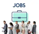 We are hiring 1Driver , 1Manager, 2-3. operation manager, helper