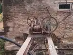 Chain Kupi (Agriculture Item)