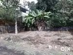 5.5 CENTS RESIDENTIAL PLOT FOR SALE