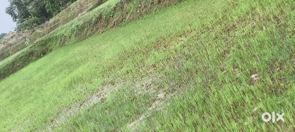 जनरल खेती ज़मीन बेचना है, मात्र 12 लाख एकड़ मे