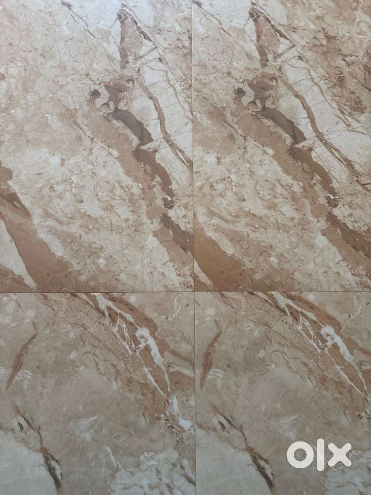 Maruti Suzuki 800 2005 Petrol Good Condition