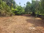12 cent Chottanikkara