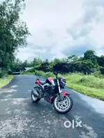Dominor 250