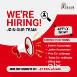 Sr accountant