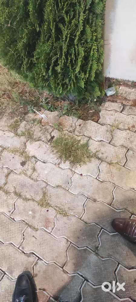 Ladkiyon ki jarurat hai factory mai kaam karne hetu packing karna hai