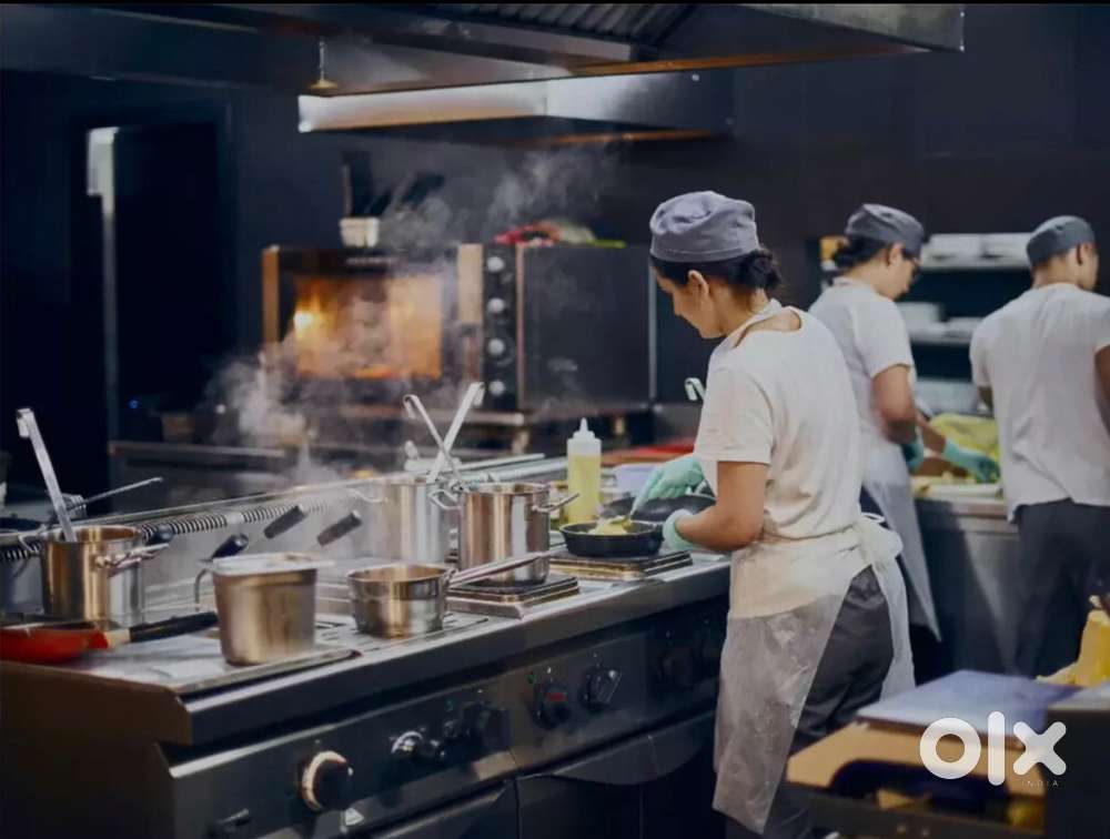 Cdp/comi 3/commis 2 - chef required for new restaurant in kirti nagar