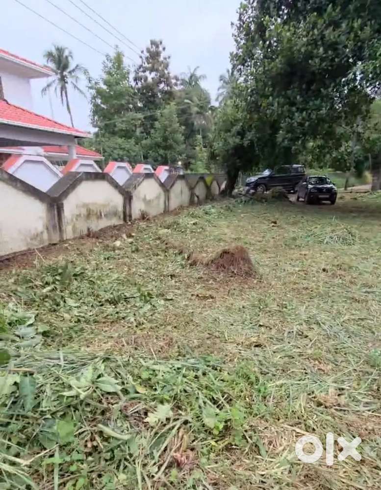 Plot For sale in manjeri