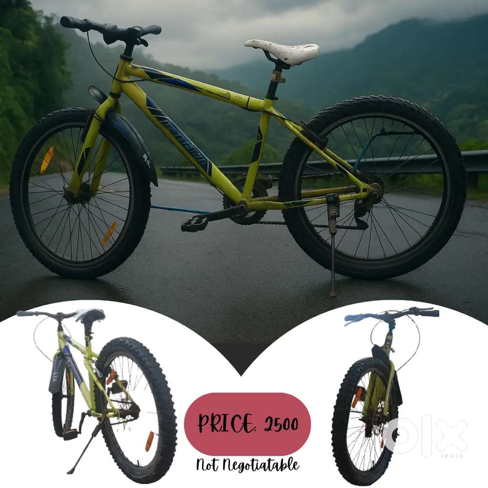 Milton Bicycle