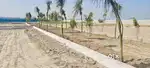 Farmhouse 1200 sq yard 8000 par gaj full payment pe discount