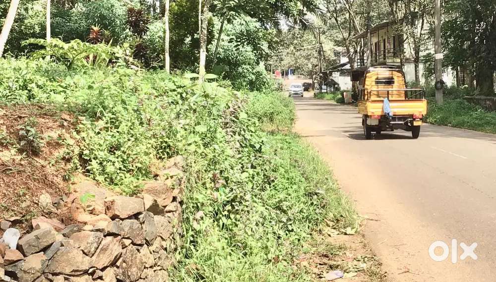 15 CENT LAND FOR SALE ST PALA-KANJIRAMATTOM