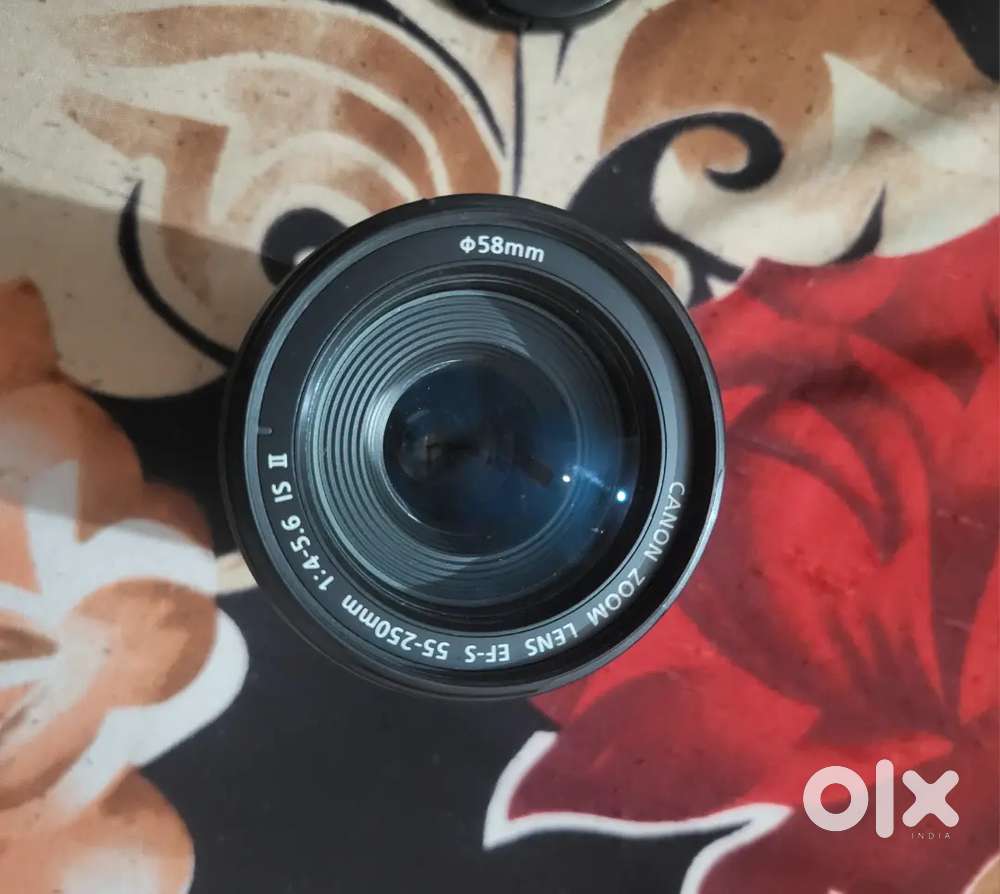 Canon EF 50mm 1.8 IS and EF 55-250 IS