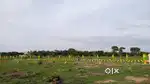 Maraimalainagar-Gokolapuram   plot for sell @19 Lakhs