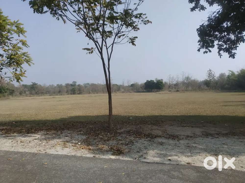 64 marla Land for sale on road