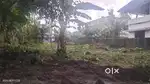 150 meter distance plot for sale thiruvankulam town area