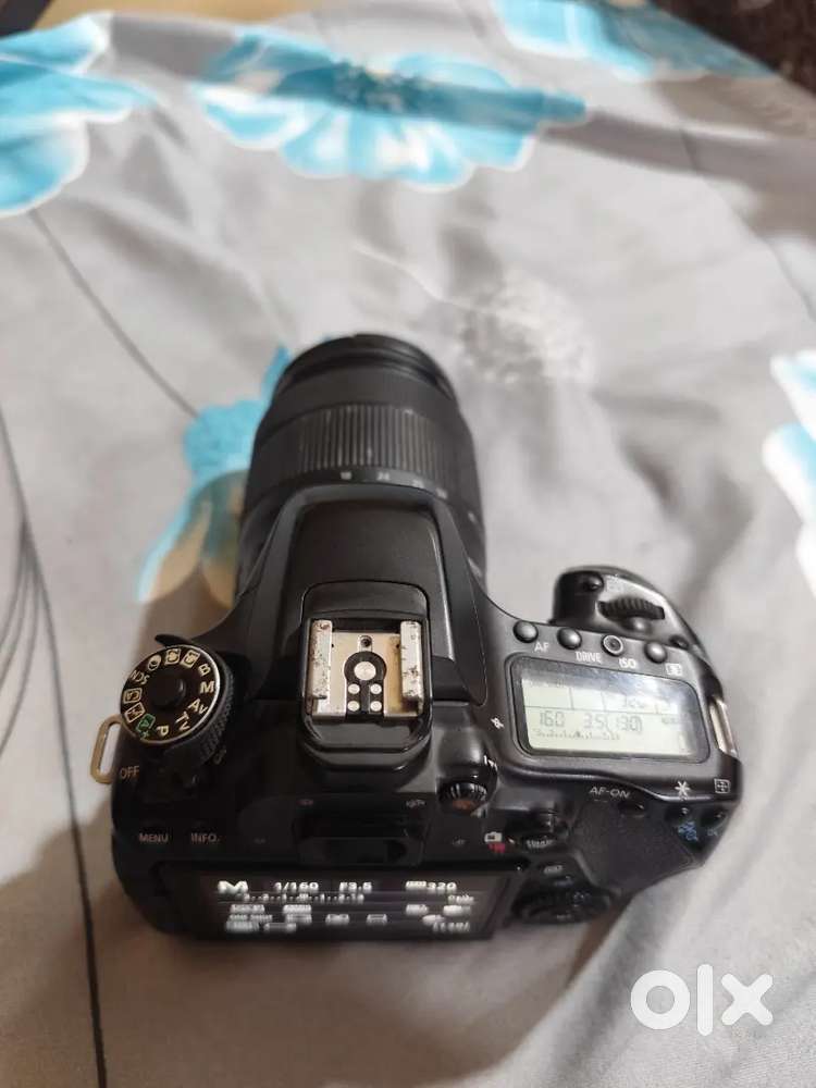 Canon EOS 80D with 50mm STM lence