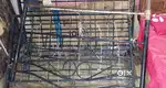 Iron Bed in an Excellent condition
