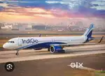 Apply urgent airport jobs indigo airlines ground staff& cabin criew