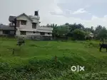 Land of 7.22 cents for sale near kollengode kovilakam