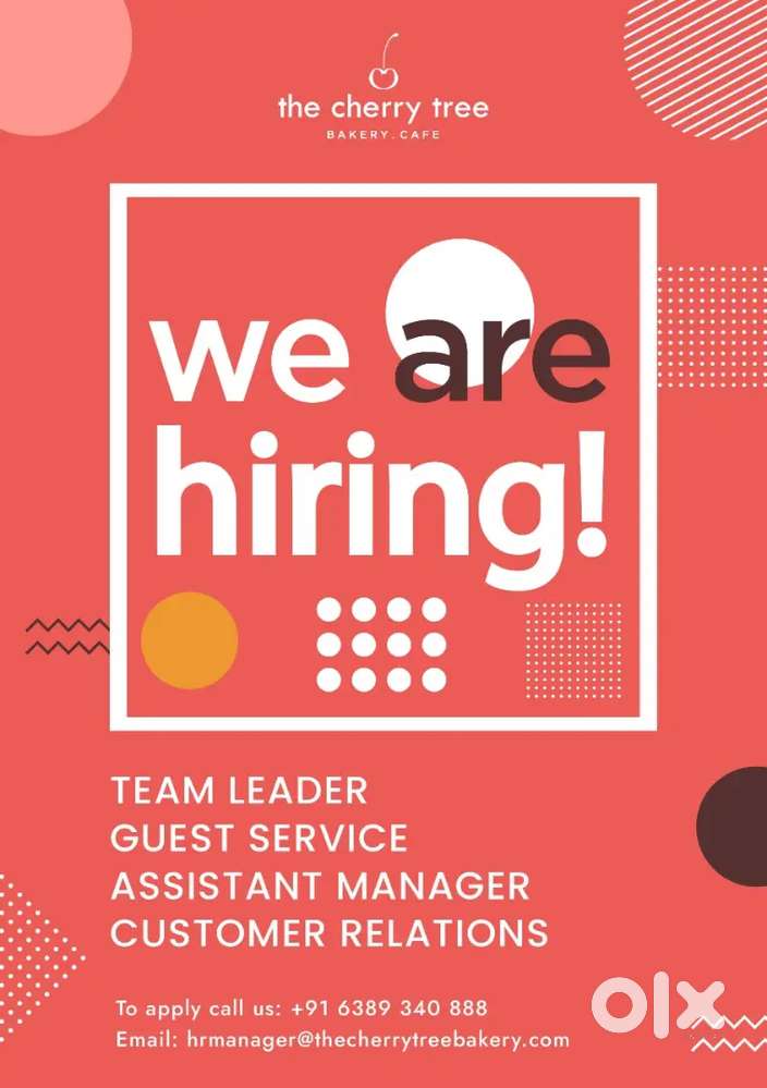 Urgent Hirng Stewards, Team members, Barista & Freshers