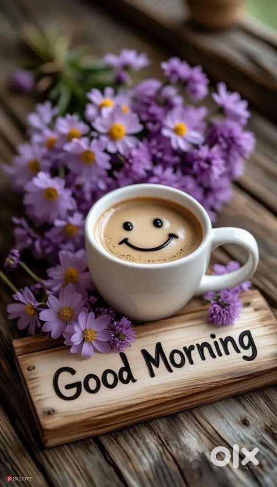 Molude karyangal nokanam Schoolil vidanam 6am to 9am