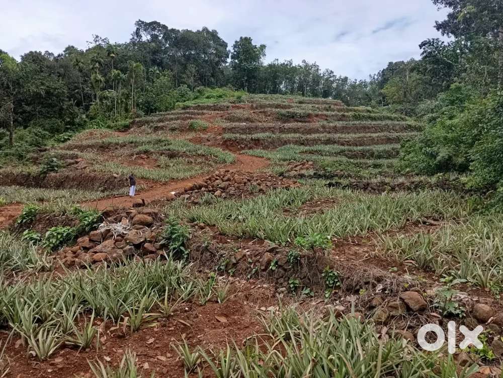 മണി മല അടുത് 2.ഏക്കർ സ്ഥലം വിൽപനക്ക്