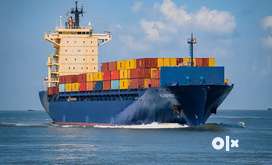 Account collector in Shipping and logistics company