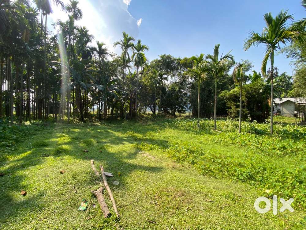 8 kotha miyadhi land. Per kotha 12.5 lakh