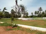 Sq. Y. ₹. 7000/-ఎయిర్పోర్ట్ రోడ్ నుండి అర కి.మీ దూరంలో DTCP ప్లాట్స్