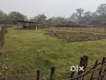 ম্যাদি খেতি মাটি বেচা হব! ৬ কঠাৰ মূল্য ৩৬ লাখ।