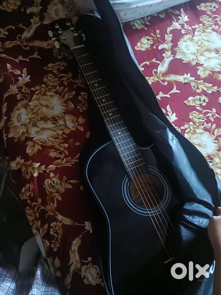 Bigner guiter