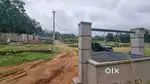DEVELOPED PLOTS@1 LAKH/CENT NEAR PALA
