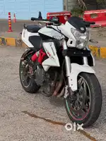 beneli 600i white