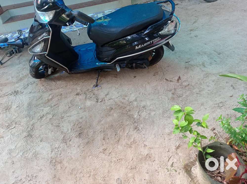 For sale  mastro edge