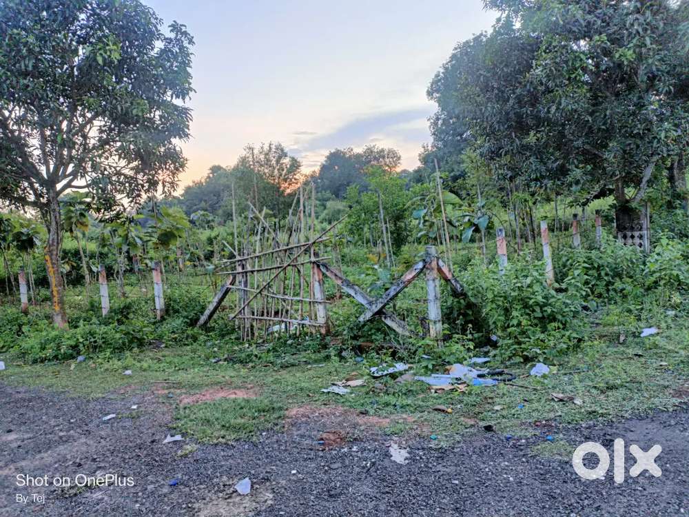 North East corner plot(333.33 sq yds) in a Dtcp approved layout