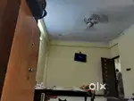 Room mate need