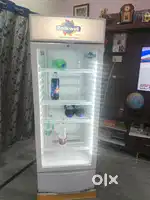 Display Freezer 310 liters